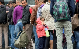 Phải mất 10 năm để biến dân nhập cư thành “lao động hữu dụng” cho nền kinh tế Đức