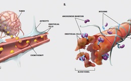 Phát hiện đột phá giúp điều trị ung thư và các bệnh về não