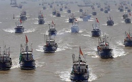 Ngư dân Trung Quốc đánh bắt cá quá tới 30% giới hạn tái sinh, biển Đông đứng trước nguy cơ "không còn gì để bắt"
