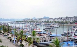 Quảng Ninh: Tập đoàn Tuần Châu thu phí qua cảng đối với khách du lịch là bất hợp lý?