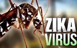 TPHCM: Thêm 5 ca nhiễm virus Zika mới