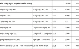 Cà Ná - Ninh Thuận sẽ có nhà máy thép nhưng chưa biết chủ đầu tư là ai?