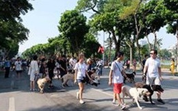Hà Nội cấm chó không rọ mõm vào phố đi bộ quanh hồ Gươm