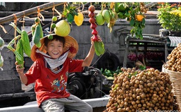Cam, chuối, ổi, thanh long giúp nông sản Việt xuất khẩu vượt mặt cả dầu thô