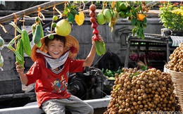 Rau quả nông dân Việt xuất khẩu hơn 1,68 tỉ USD, nhiều hơn tiền bán dầu thô