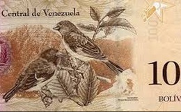Lạm phát 500%, Venezuela thậm chí không có tiền để in thêm tiền