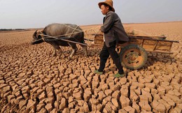 Việt Nam đứng thứ 5 trên toàn cầu về thiệt hại do biến đổi khí hậu