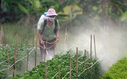 "Nước ta là nước nông nghiệp sao chúng ta lại phải nhập nhiều thế?”