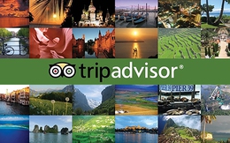 TripAdvisor: Từ công ty không khách hàng, không doanh thu tới đế chế du lịch 6 tỉ USD