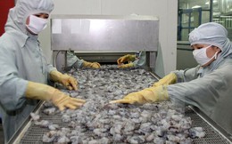 EU cảnh báo 11 lô hàng thuỷ sản của Việt Nam bị dư kim loại nặng