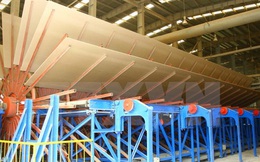 Đầu tư gần 1.500 tỷ đồng xây nhà máy sản xuất gỗ ván ép tại Hà Tĩnh