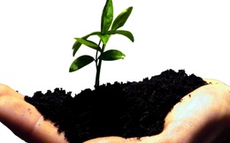 Đây là lí do vì sao Úc đột nhiên trở thành miền đất hứa cho các start-up