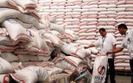 Philippines sẽ mua 1 triệu tấn gạo nhân cơ hội giá rẻ