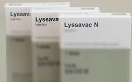 Đình chỉ lưu hành vắc xin ngừa dại Lyssavac N