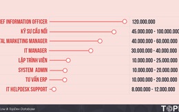 Lương của giám đốc công nghệ tại Việt Nam là 120 triệu đồng/tháng