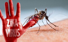Dịch Zika ở Việt Nam: Có thể sẽ xuất hiện thêm trường hợp mới