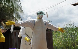 WHO tuyên bố đại dịch Ebola đã chính thức chấm dứt