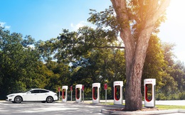 Xe chạy xăng đang phá hoại môi trường, vậy xe điện như Tesla có "sạch" không?