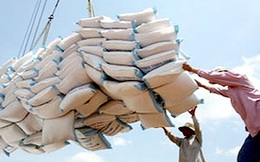 Philippines sẽ mua thêm hơn 293.000 tấn gạo từ Việt Nam