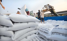 Vì sao xuất khẩu gạo tăng đột biến?