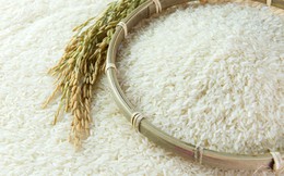 Biết Việt Nam là "trùm lúa gạo" nhưng vẫn nghèo, một đại gia Thụy Sỹ đã tìm ra lời giải để nâng tầm gạo Việt