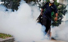 Singapore: Số ca mắc virus Zika tiếp tục tăng lên 242 người