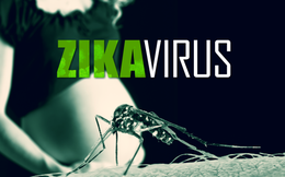 Mỹ xác nhận trường hợp đầu tiên nhiễm virus Zika, không phải do muỗi đốt