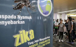 Virus Zika có thể sống trong mắt và lây lan qua nước mắt
