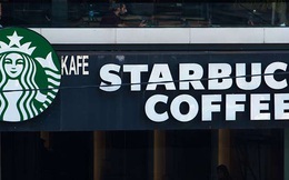 Đến Starbucks cũng chẳng thành công sau 1 đêm, thế nên startup hãy cứ "đi chậm mà chắc” thôi