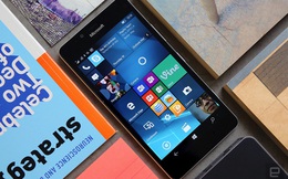 Microsoft lý giải vì sao hãng không tiếp tục phát triển Windows Phone nữa