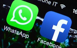 Thêm một quốc gia Châu Âu yêu cầu WhatsApp ngừng chia sẻ dữ liệu người dùng với Facebook