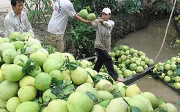 Những kiểu làm ăn ‘lạ đời’ của thương lái Trung Quốc