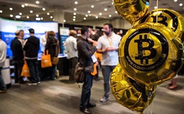 Bitcoin tăng trưởng hơn 500% từ đầu năm: Công việc thiết kế các loại tiền ảo trở thành nghề hot!