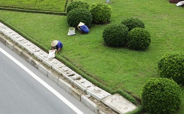 [Video]: Ngừng chi 53 tỷ mỗi năm cho cắt cỏ, đại lộ hiện đại nhất Việt Nam giờ ra sao?