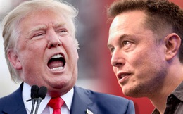Khách hàng đồng loạt trả đũa Elon Musk vì làm thân với Tổng thống Trump