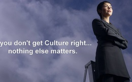 Xây dựng văn hóa công ty: Làm thế nào để nhân viên gắn bó, đoàn kết với nhau?