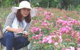 Âm thầm nghỉ việc, vay nặng lãi trồng 6.000 gốc hồng