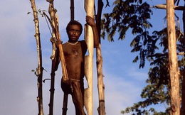 Cận cảnh bộ lạc sống trên cây, cao tới 50m và tách biệt với loài người ngay tại Đông Nam Á