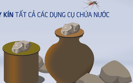 Sốt xuất huyết hoành hành khắp cả nước vì những nguyên nhân này