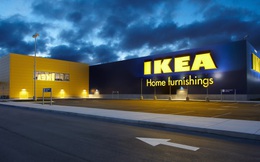 Hiệu ứng IKEA: Cho người khác thấy bạn nỗ lực thế nào, họ sẽ không bao giờ phụ lòng bạn