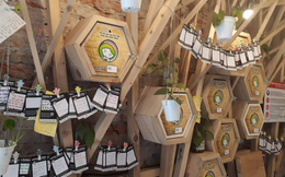 Mô hình cửa hàng tự phục vụ của 8X Việt: Không nhân viên, khách tự chọn đồ, quét mã vạch và tự trả tiền vào hộp