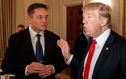 Sau tất cả, SpaceX và Tesla của Elon Musk cũng đứng về phe phản đối lệnh cấm nhập cư của Tổng thống Trump