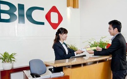 BIC dành tặng nhiều ưu đãi cho khách hàng mua bảo hiểm trực tuyến
