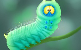 Thảm họa kháng kháng sinh đang cận kề và các nhà khoa học đang tìm giải pháp ở loài vật nhỏ bé này