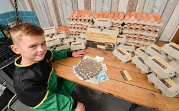Cậu bé 8 tuổi khởi nghiệp bán trứng, đóng gói trước khi tới lớp, giao hàng khi vừa tan trường: Cháu sẽ thành triệu phú!