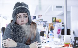 Bạn đang khốn khổ vì bị lạnh khi làm việc ở văn phòng? Chỉ cần chú ý giữ ấm bộ phận này mọi chuyện sẽ được khắc phục