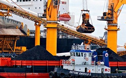 Công ty Indonesia sắp xây cảng vận chuyển than 1 tỷ USD ở Việt Nam