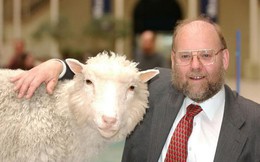 Một chú cừu đã làm thay đổi thế giới như thế nào ?
