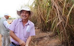Đại gia Việt đã rót hơn 21 tỷ USD ra nước ngoài, đổ tiền nhiều nhất vào lĩnh vực nông nghiệp