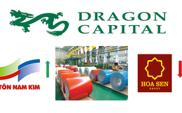 Dragon Capital chốt lời Tôn Hoa Sen, rót vốn lớn vào Tôn Nam Kim (NKG)